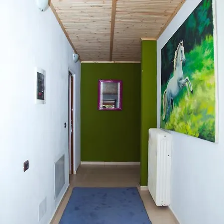 Casa de hóspedes Sofia Voskopojë